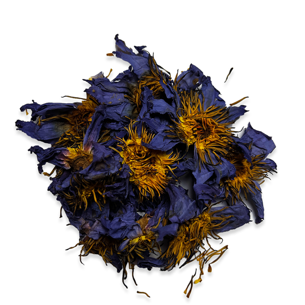 Blauwe Lotus Bloemen